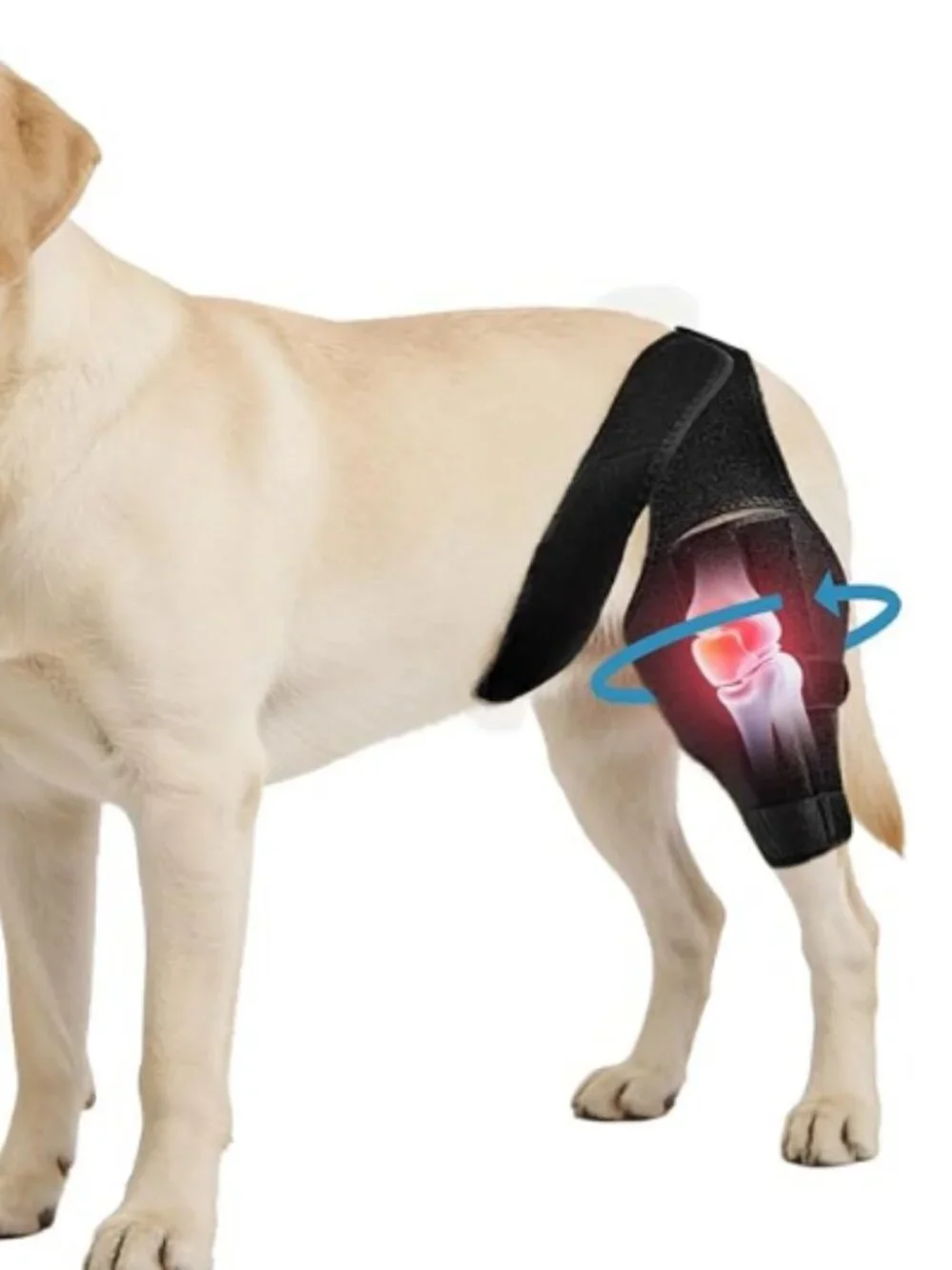 Noorace Dog Knee Brace for Torn ACL/CCL & Hind Leg Support - Adjustable Brace